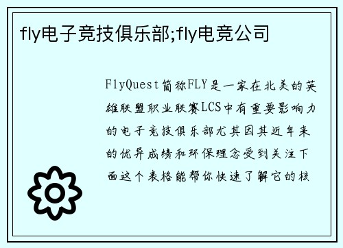 fly电子竞技俱乐部;fly电竞公司