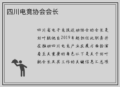 四川电竞协会会长